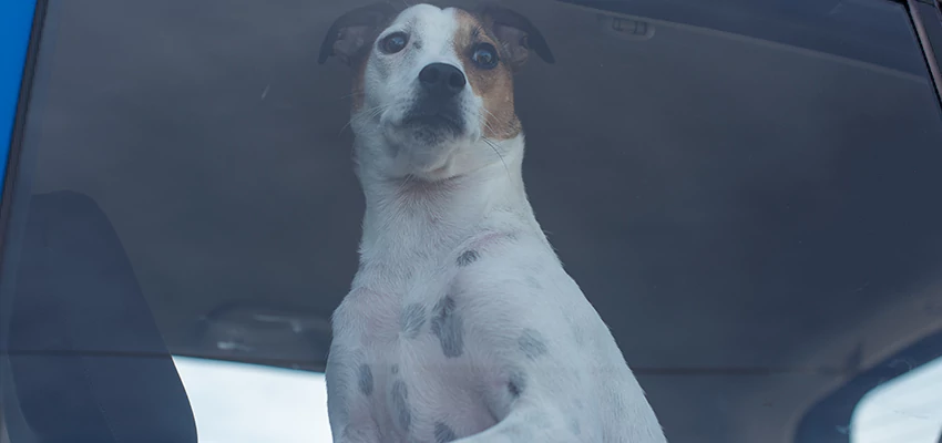 Car Lockout Solutions in Ripon, California